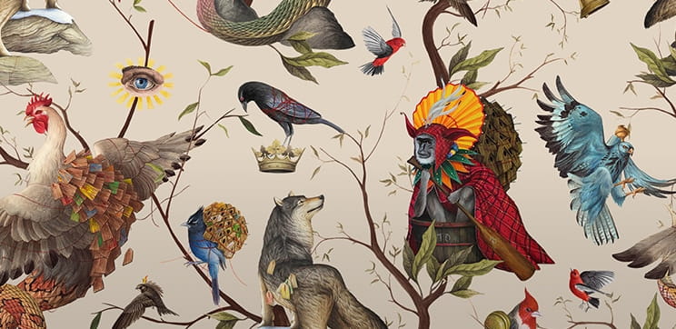 El Gato Chimney x Medicine